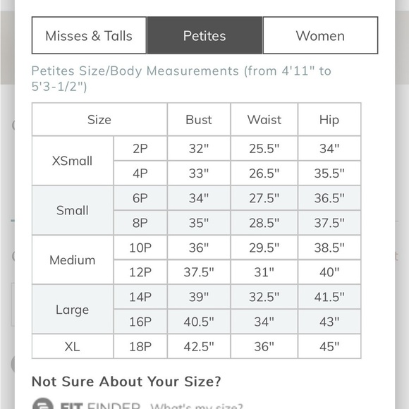 Soft Surroundings Midi Dress 18p Boho Cottagecore Festival Lined Velvet Trim - Picture 8 of 12